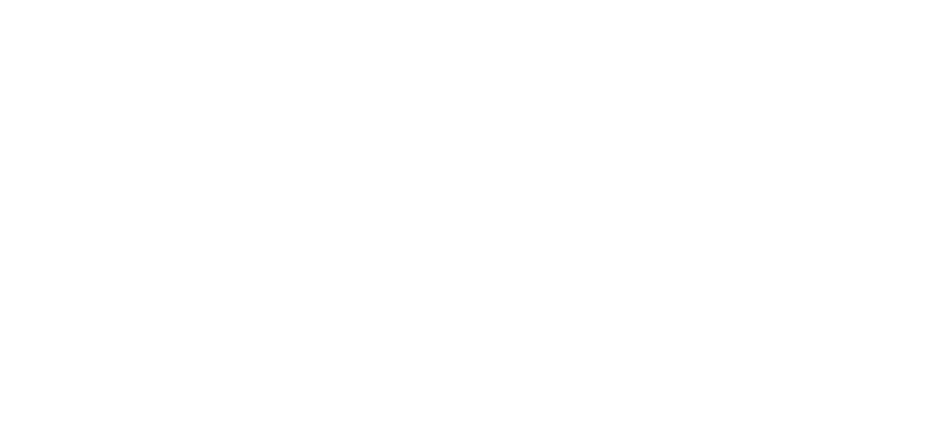 Promo - Northen dried fig a unique Superfood