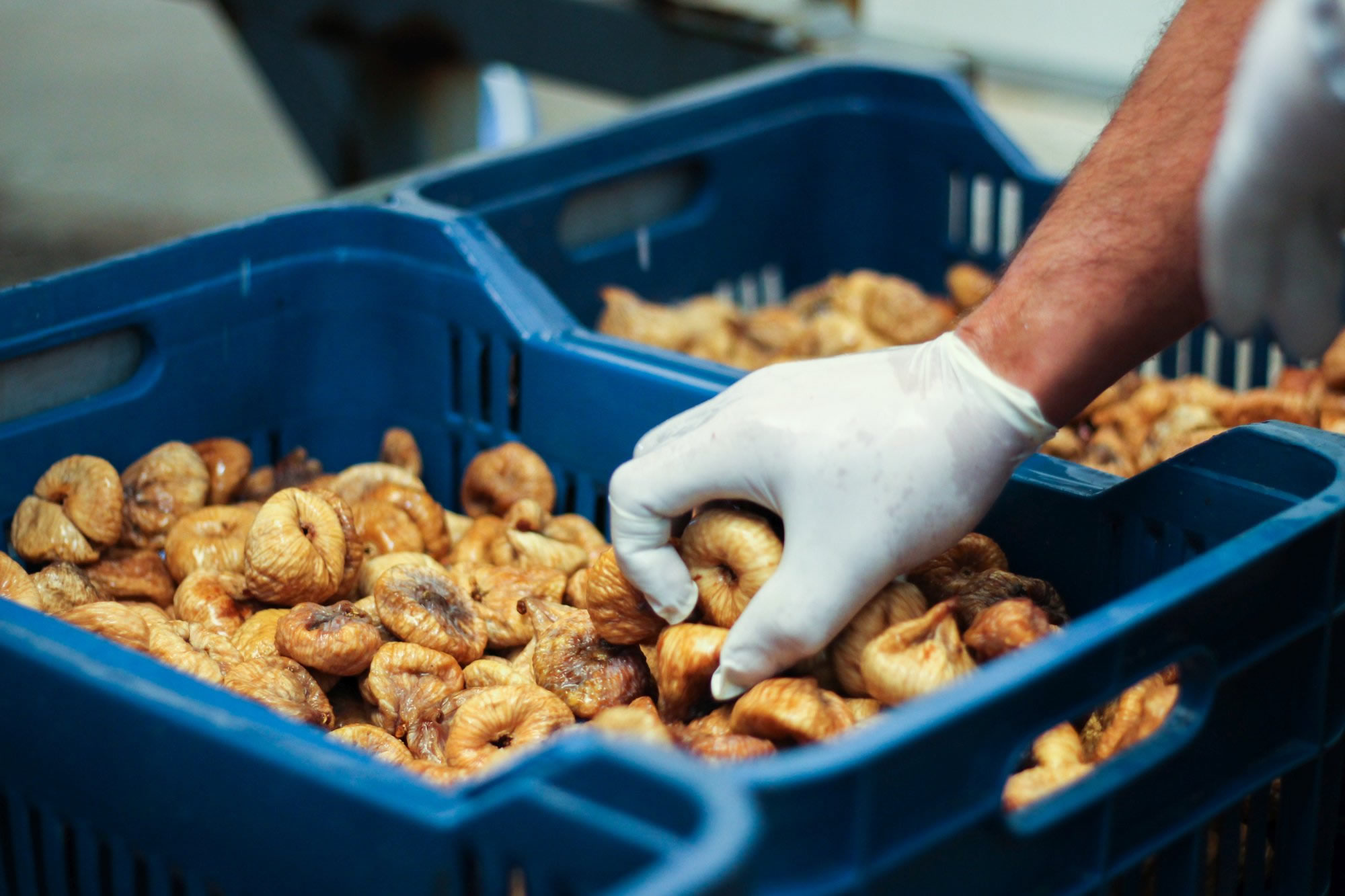 Promo - We choose & take care the best fig quality for you